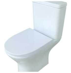 THE CHOICE WATER CISTERN ROSE