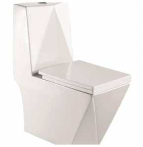 THE CHOICE WATER CISTERN KING WC