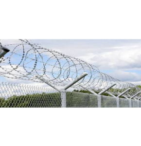 Conceretina wire fenching     (60 crisp)