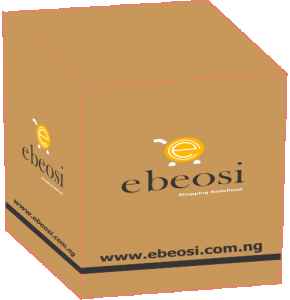 Ebeosi Branded carton Big size (6x6x6)inches