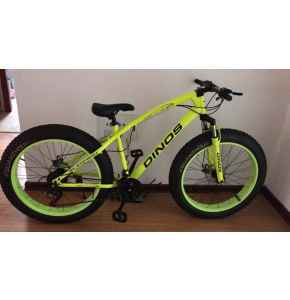 Fat tyre's sports bike