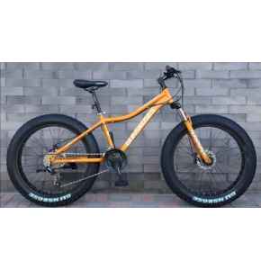 Fat tyre's sports bike variety 2 bicycle