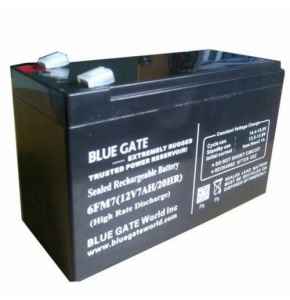 Blue Gate Battery 7AMPS Battery - DWLIF0164