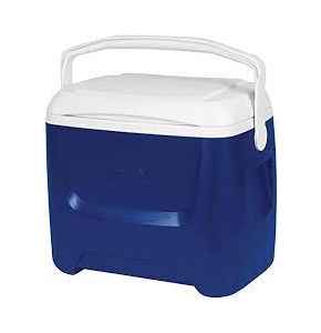 Igloo Portable Cooler