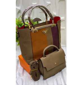 2 in 1 Women Brown shades Handbag