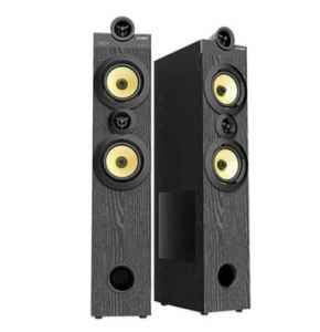 F&D T-88X 300W Bluetooth Subwoofer Speaker