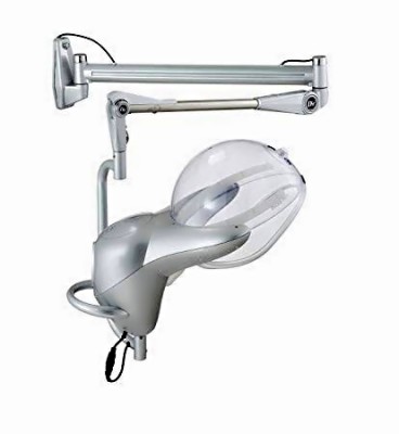 Professional wall steamer